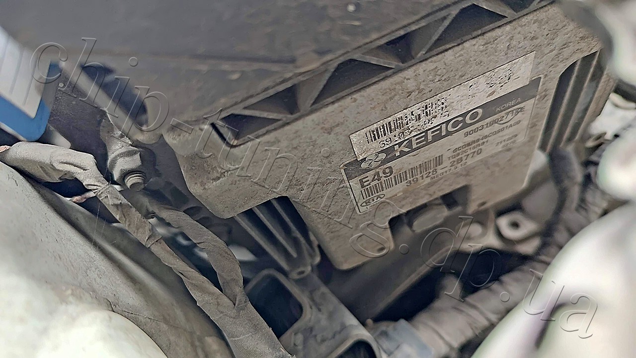 Chiptuning decat Kia rio 2015 year