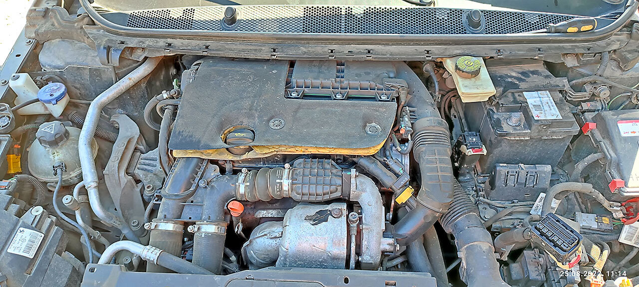 Chiptuning engine egr catalist off Peugeot 308 SW 2004 year
