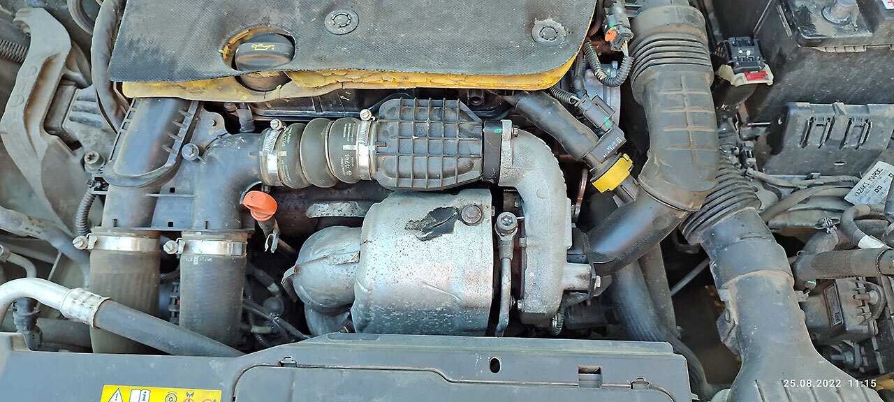 Chiptuning engine egr catalist off Peugeot 308 SW 2005 year